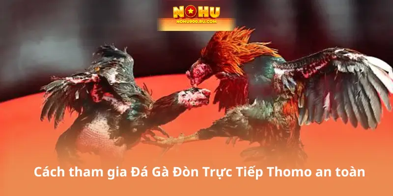 Cách tham gia Đá Gà Đòn Trực Tiếp Thomo an toàn