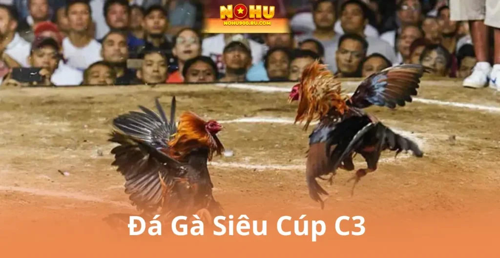 Đá Gà Siêu Cúp C3