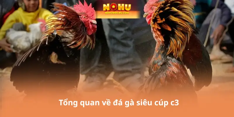 Tổng quan về đá gà siêu cúp c3